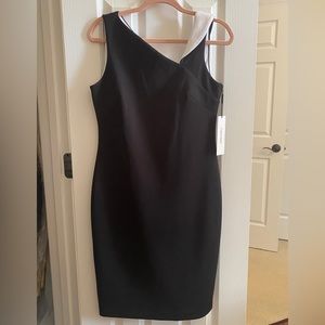 Calvin Klein Contrast-Collar Sheath Dress. Classic and Elegant